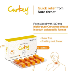 Curkey Mint Flavour Pastille 10